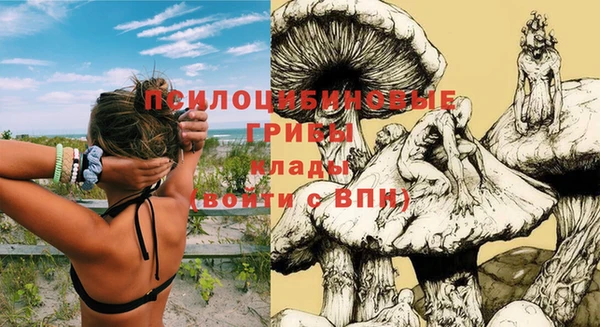 прущие крисы Абинск