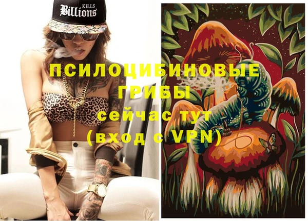 ECSTASY Абаза