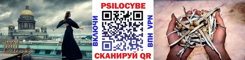 где продают   Клинцы  kraken рабочий сайт  Псилоцибиновые грибы MAGIC MUSHROOMS 